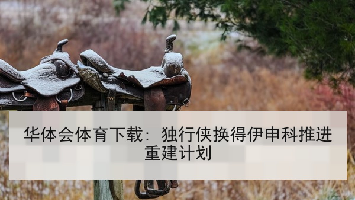 华体会体育下载: 独行侠换得伊申科推进重建计划