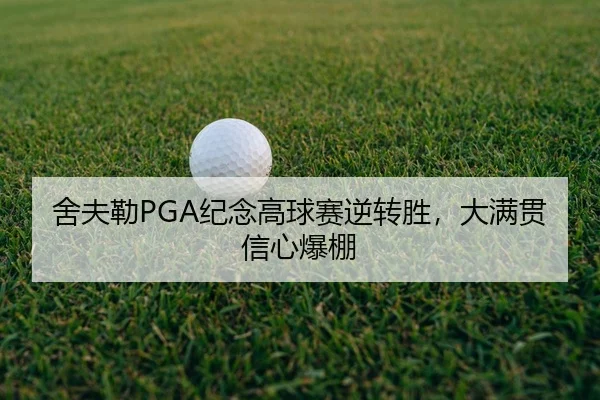 she-fu-lei-ji-nian-gao-qiu-sai-ni-zhuan-sheng-da-man-guan-xin-xin-bao-peng-2-669.jpg