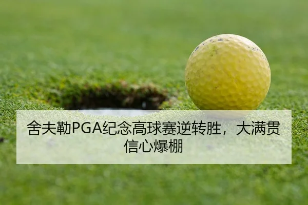 she-fu-lei-ji-nian-gao-qiu-sai-ni-zhuan-sheng-da-man-guan-xin-xin-bao-peng-3-893.jpg