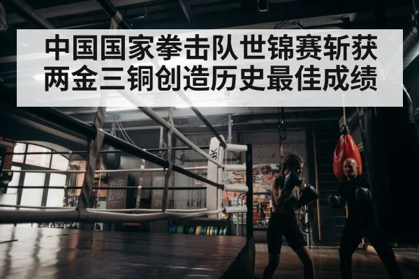 boxer training
